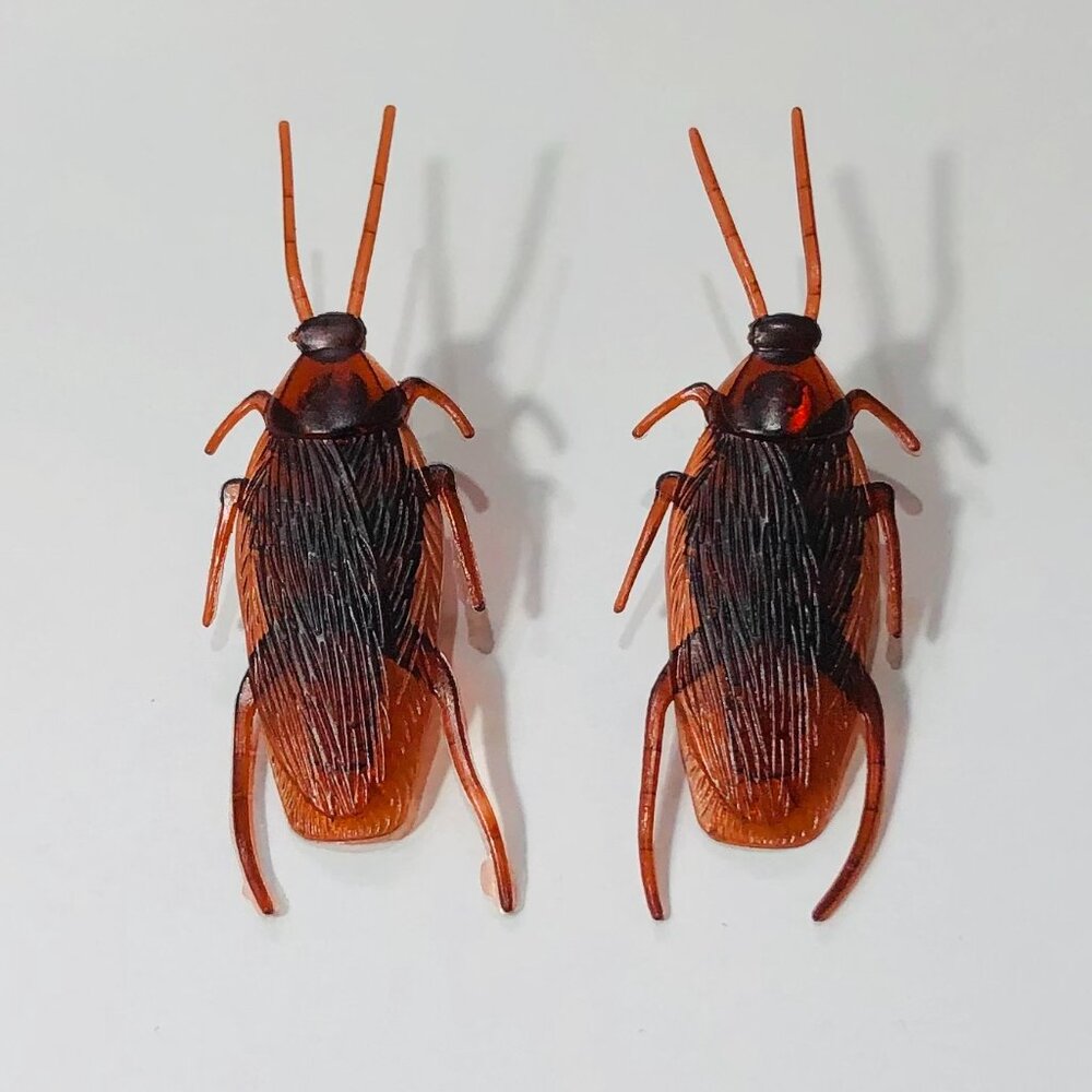 Insect Earrings Cockroach Roach Studs Bug Goth Punk Halloween Costume Party